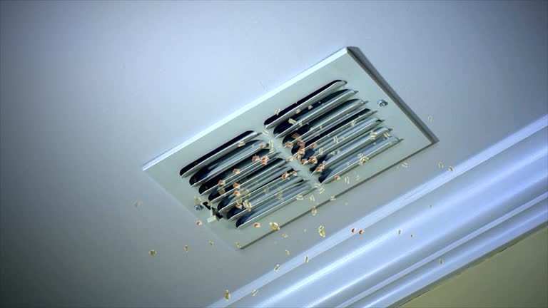 Best Affordable HVAC Duct Cleaning  in Brook Park, OH
